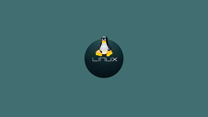 Linux Ubuntu Operating system logo