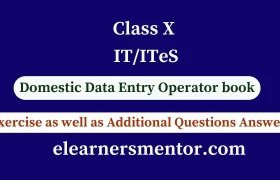 class 10 IT/ITeS domestic Data Entry Operator book questions answers seba