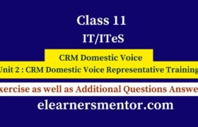 class 11 IT CRM Domestic Voice unit 2 CRM Domestic Voice Representative Training