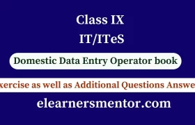 class IX IT/ITeS Domestic Data Entry Operator book exercise as well as Additional questions answers under SEBA