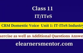 class 11 IT/ITeS CRM Domestic Voice IT-ITeS Industry question answers